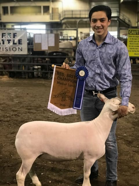 2019 Kleberg-Kenedy County Livestock Show.