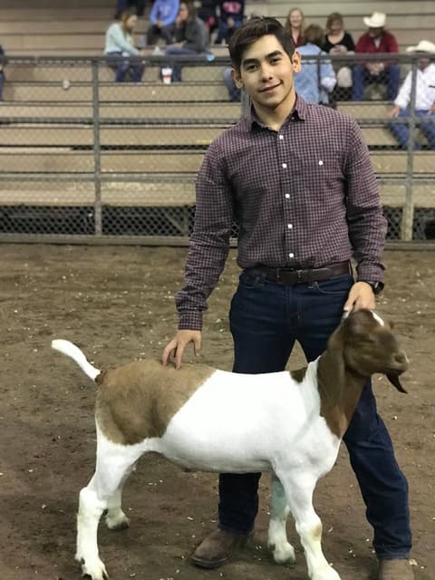 2019 Kleberg-Kenedy County Livestock Show.