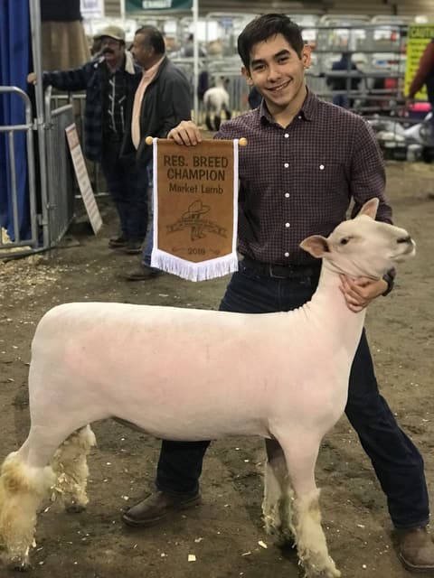 2019 Kleberg-Kenedy County Livestock Show.