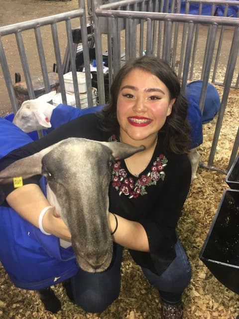 2019 Kleberg-Kenedy County Livestock Show.