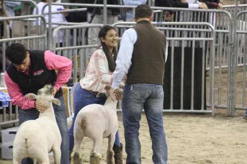 2019 Kleberg-Kenedy County Livestock Show.