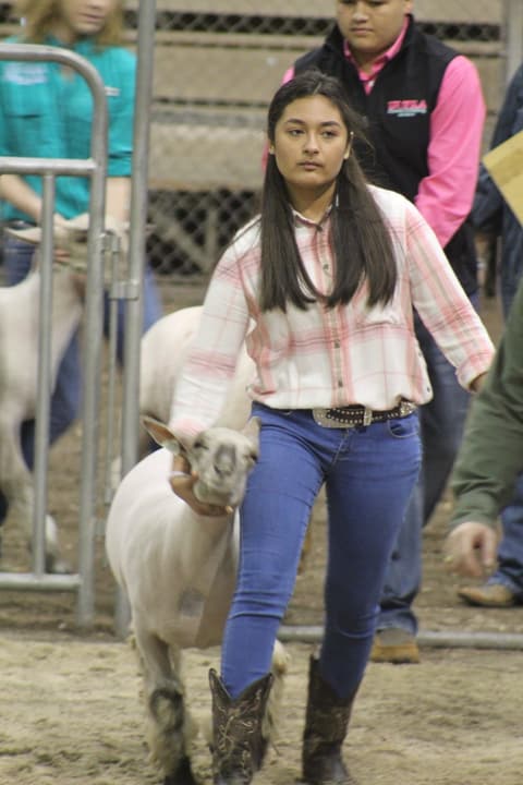 2019 Kleberg-Kenedy County Livestock Show.