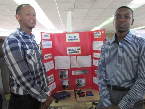 PPAS Science Fair, April 23, 2014.