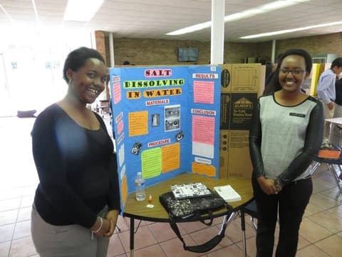 Science Fair, April 15, 2015.