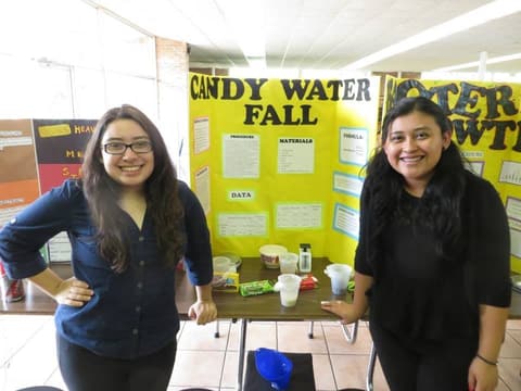 Science Fair, April 15, 2015.