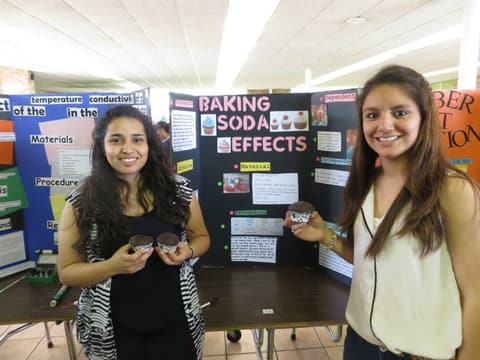 Science Fair, April 15, 2015.