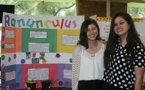 Science Fair, April 15, 2015.