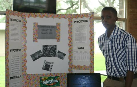 Science Fair, April 15, 2015.