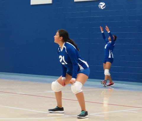 Volleyball Tournament, August 20, 2016.