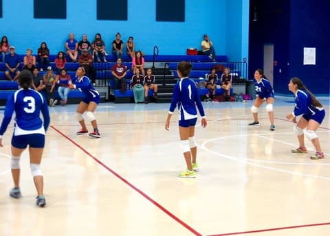 Volleyball Tournament, August 20, 2016.