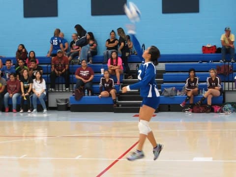 Volleyball Tournament, August 20, 2016.
