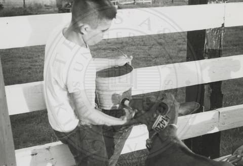 Student feeding a goat.
