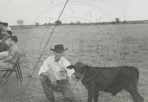 Professor with cow.