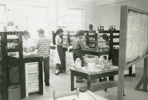 Students working on lab.