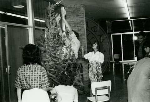 Trimming the Christmas tree.