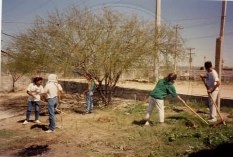 Work program, 1990.